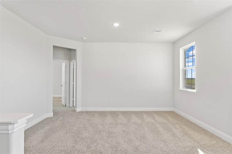 1653 Cloud Cover View, Weston TX 75009 - Photo 36