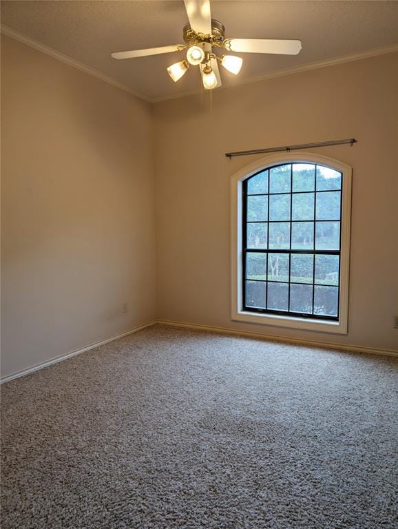 14 Winding Creek Trail, Garland TX 75043 - Photo 24