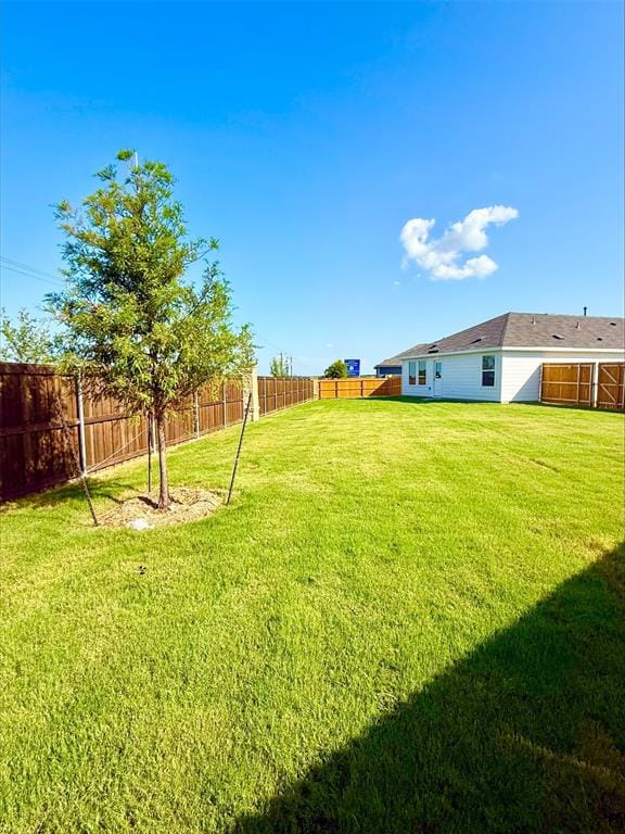 3803 Superior Place, Sherman TX 75090 - Photo 2