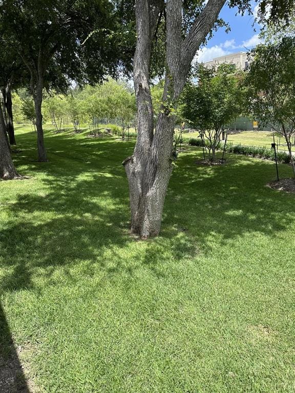 4114 Leadville Place, Addison TX 75001 - Photo 12