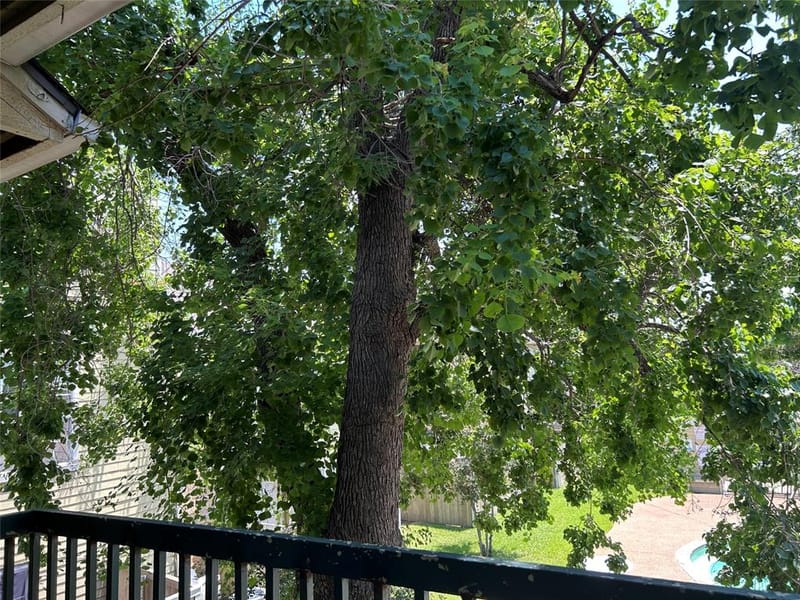 4107 Esters Road # 808, Irving TX 75038 - Photo 13