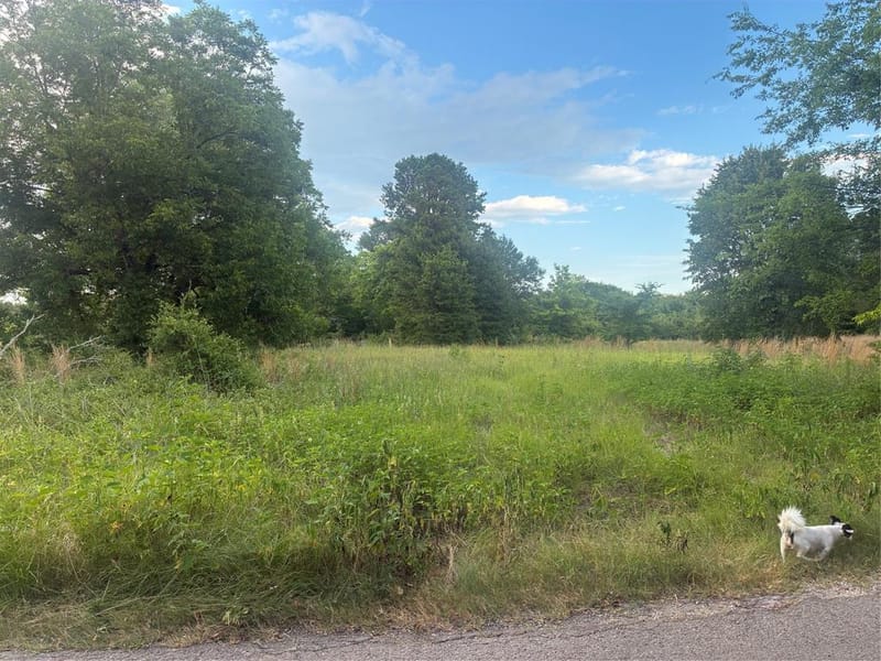910 VZCR 3119 Road, Edgewood TX 75117 - Photo 2