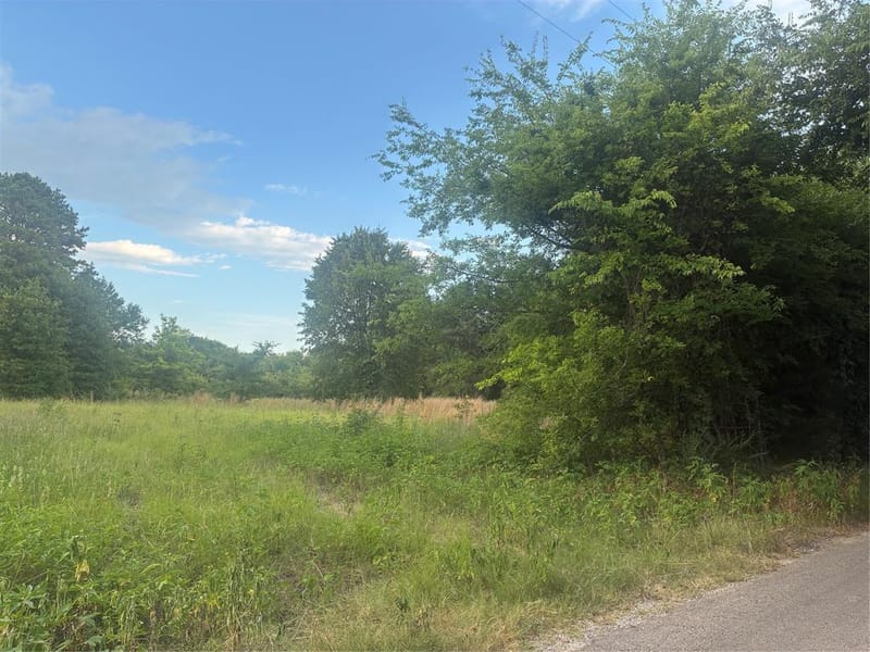 910 VZCR 3119 Road, Edgewood TX 75117 - Photo 3