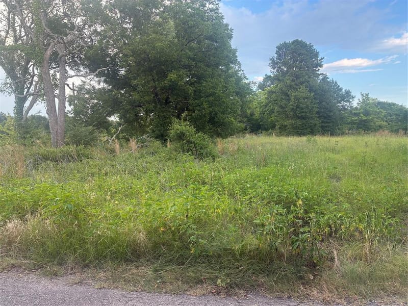 910 VZCR 3119 Road, Edgewood TX 75117 - Photo 5