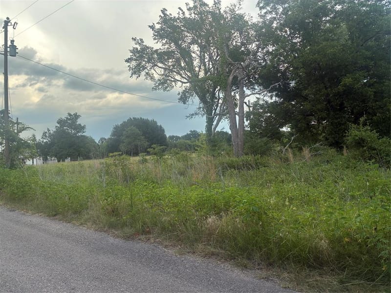 910 VZCR 3119 Road, Edgewood TX 75117 - Photo 4