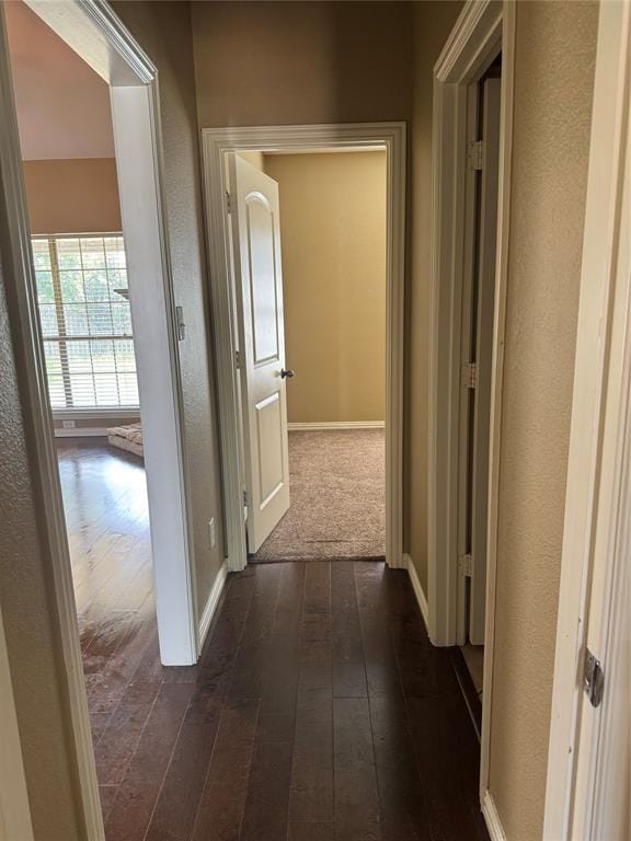 1403 Hickory Drive, Pilot Point TX 76258 - Photo 20