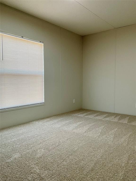 118 Willow Ridge Circle, Southmayd TX 75092 - Photo 32