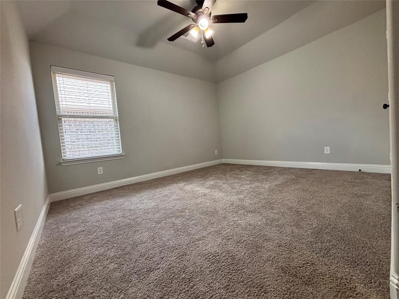 3421 Poinsettia Way, Irving TX 75038 - Photo 24