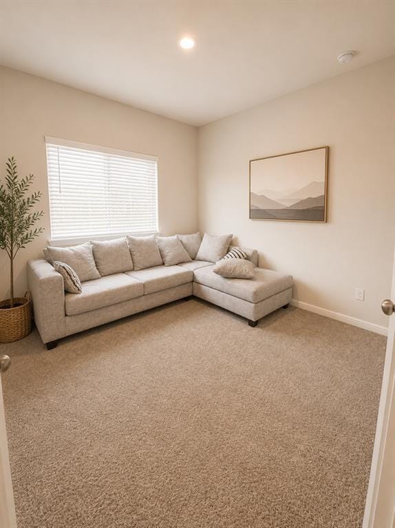 4301 Cario Lane, Fort Worth TX 76036 - Photo 34