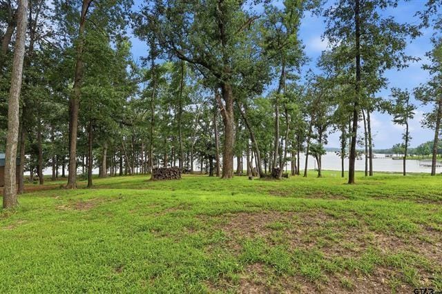 20 Red Oak, Scroggins TX 75480 - Photo 40