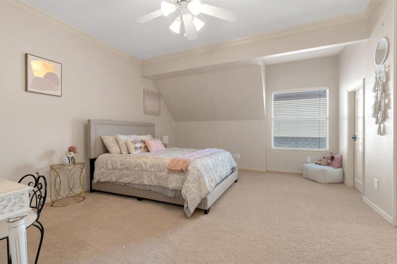 5048 Castle Creek Lane, Plano TX 75093 - Photo 27