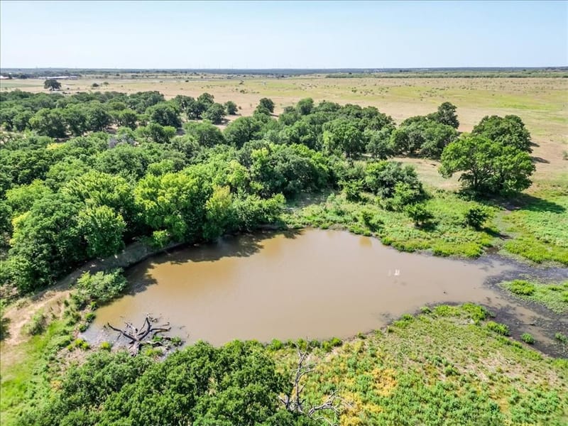 3637 Highway 281 N, Jacksboro TX 76458 - Photo 27