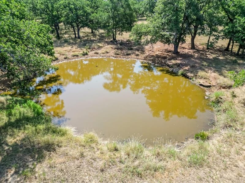 3637 Highway 281 N, Jacksboro TX 76458 - Photo 29