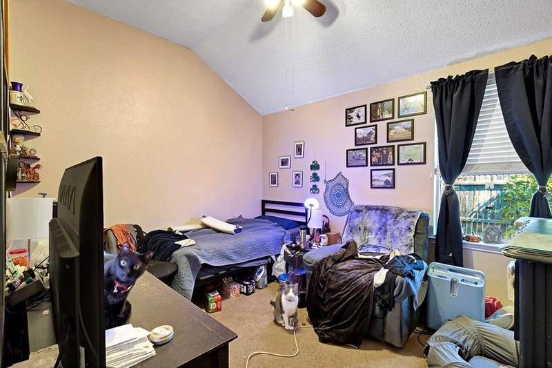 536 Chestnut Trail, Forney TX 75126 - Photo 14