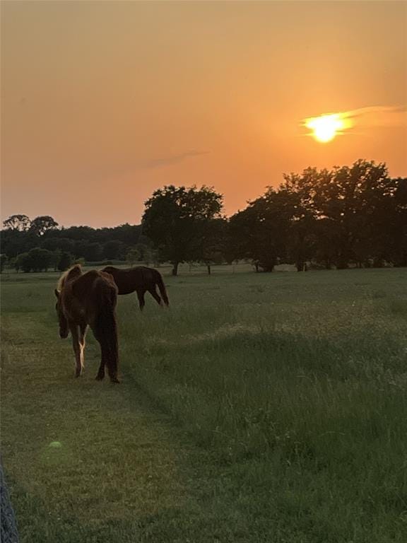 716 County Road 3241, Paradise TX 76073 - Photo 36