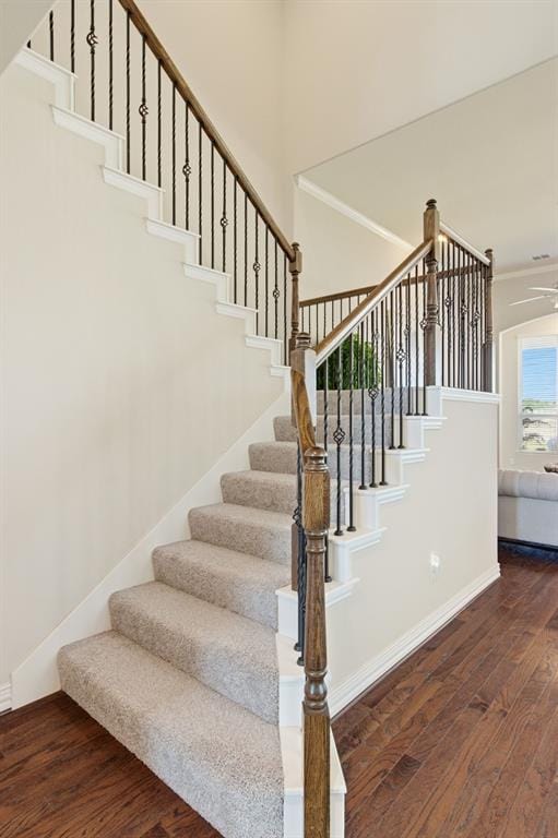 4211 Prado Court, Irving TX 75063 - Photo 21