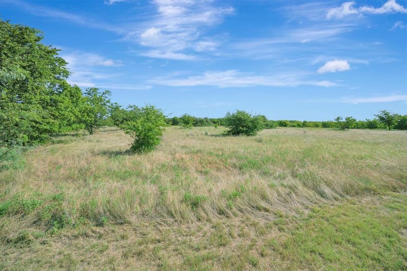 125 Mossy Oak Trail, Fort Worth TX 76131 - Photo 38