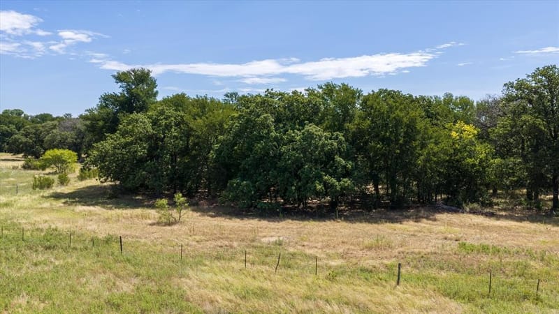 10202 S US Highway 377, Dublin TX 76446 - Photo 38