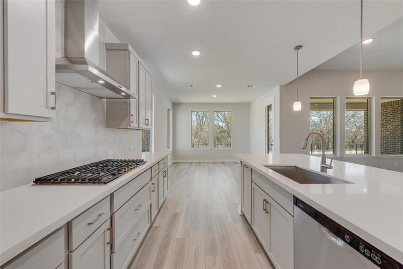 15028 Pizarro Court, Little Elm TX 75068 - Photo 3