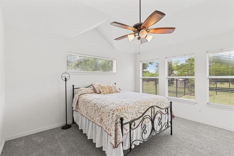 9 Horseman Drive, Lucas TX 75002 - Photo 19