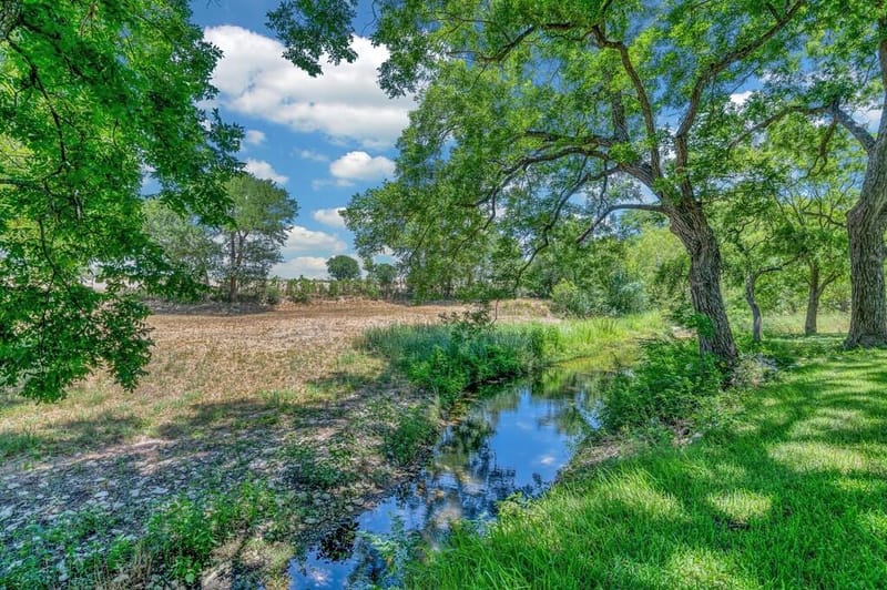 5819 FM 56, Clifton TX 76634 - Photo 2