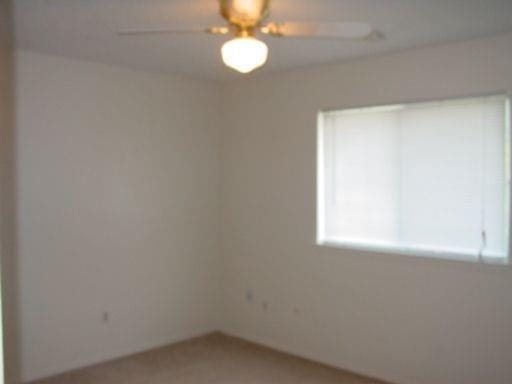 110 Graystone Place, Duncanville TX 75137 - Photo 6