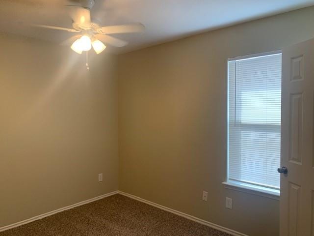 721 Bamboo Drive, Anna TX 75409 - Photo 13