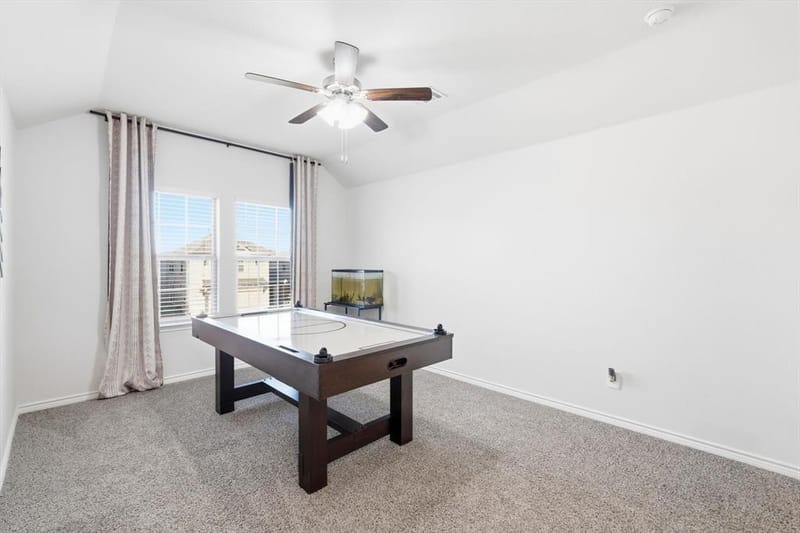 317 Madras Street, Little Elm TX 75068 - Photo 24