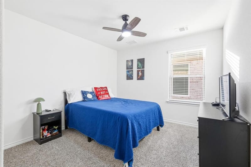 317 Madras Street, Little Elm TX 75068 - Photo 29