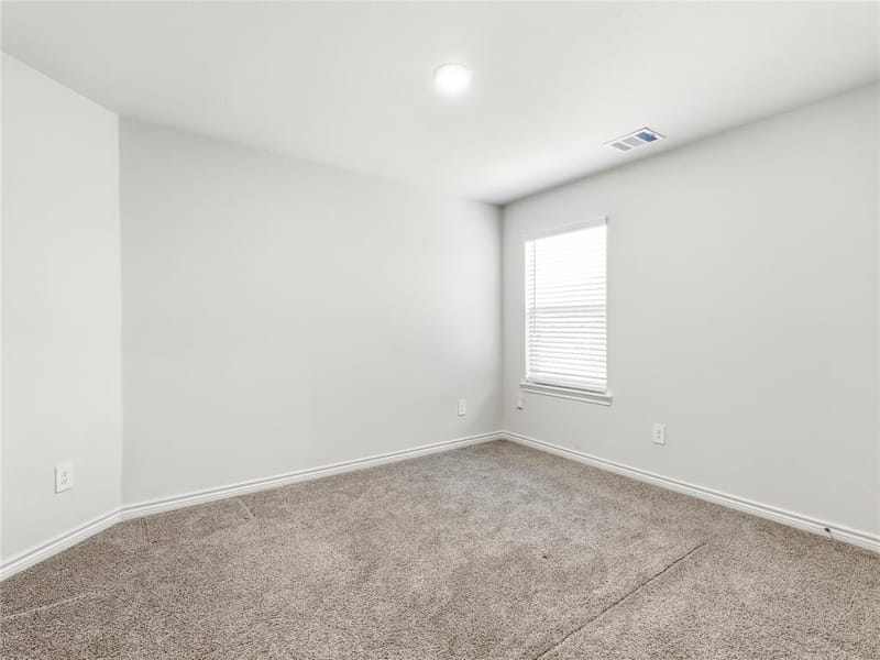 9809 Gooseneck Drive, Aubrey TX 76227 - Photo 22