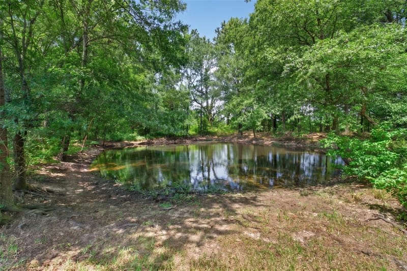 1094 County Road 2389, Alba TX 75410 - Photo 27