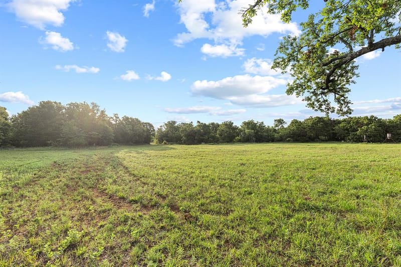 10371 State Hwy 148, Jacksboro TX 76458 - Photo 3