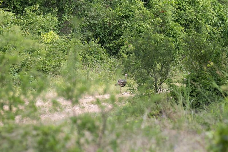 10371 State Hwy 148, Jacksboro TX 76458 - Photo 36
