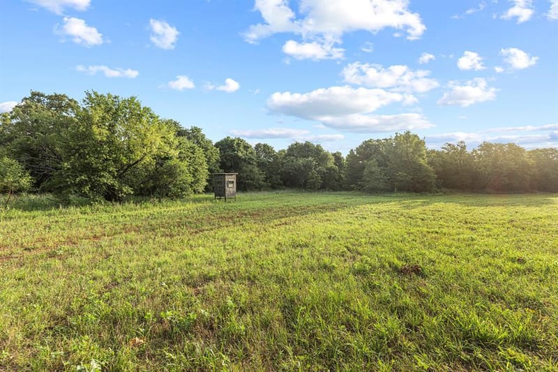 10371 State Hwy 148, Jacksboro TX 76458 - Photo 5