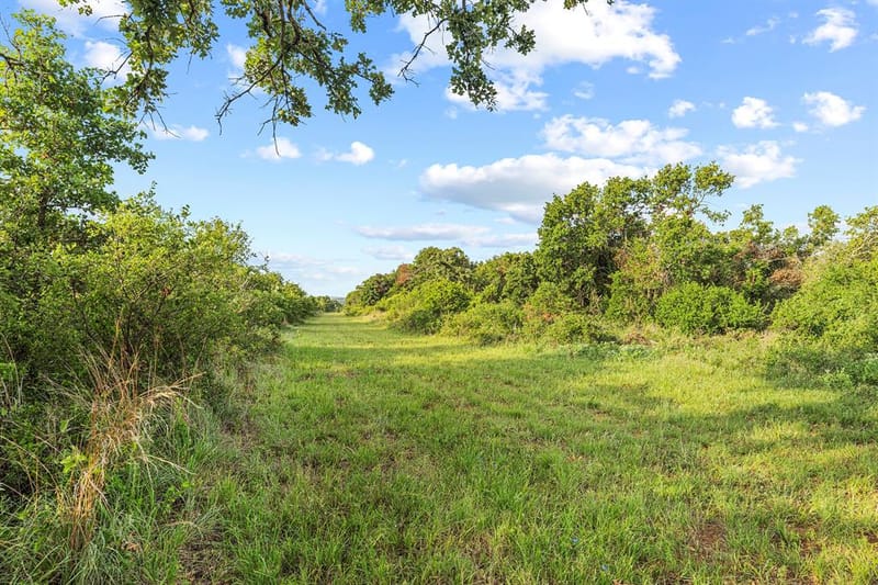10371 State Hwy 148, Jacksboro TX 76458 - Photo 8