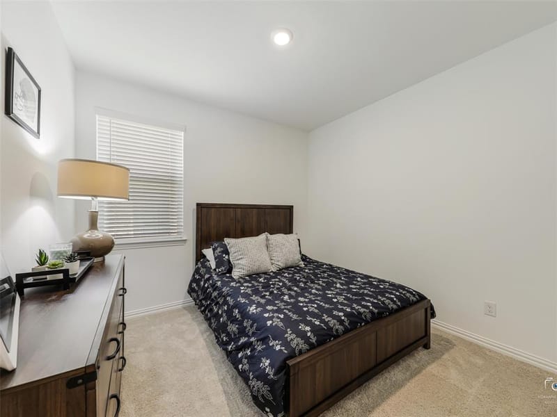 1613 Roadrunner Drive, Little Elm TX 75068 - Photo 22