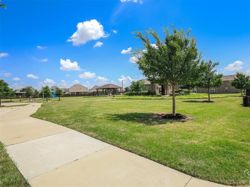 1613 Roadrunner Drive, Little Elm TX 75068 - Photo 32