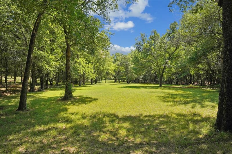 1433 Old Sadler Road, Sadler TX 76264 - Photo 6