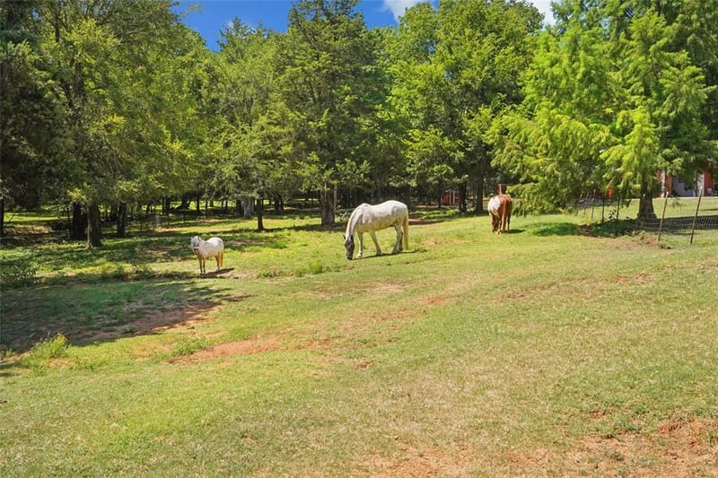 1433 Old Sadler Road, Sadler TX 76264 - Photo 37