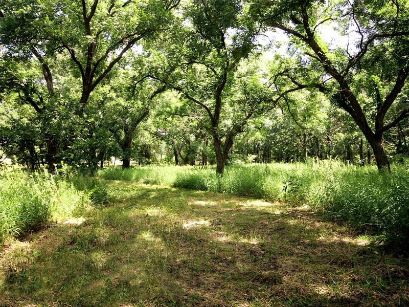 6108 Cottonwood Creek Road, Saint Jo TX 76265 - Photo 23