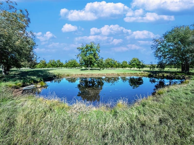 6108 Cottonwood Creek Road, Saint Jo TX 76265 - Photo 13