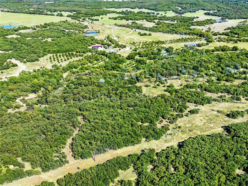 6108 Cottonwood Creek Road, Saint Jo TX 76265 - Photo 3