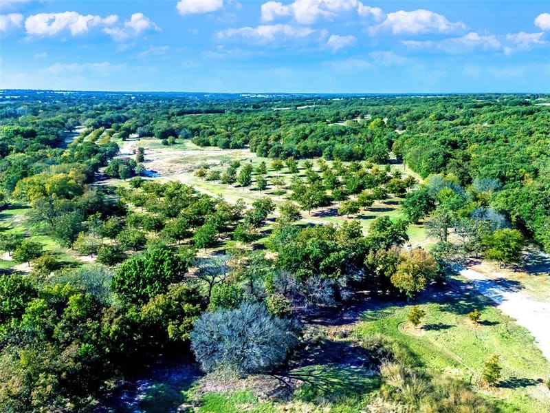 6108 Cottonwood Creek Road, Saint Jo TX 76265 - Photo 5