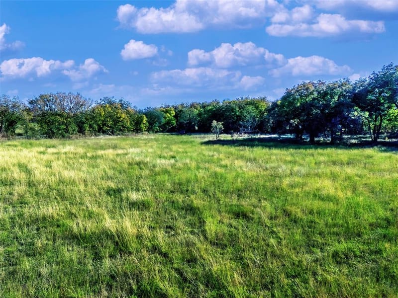 6108 Cottonwood Creek Road, Saint Jo TX 76265 - Photo 20