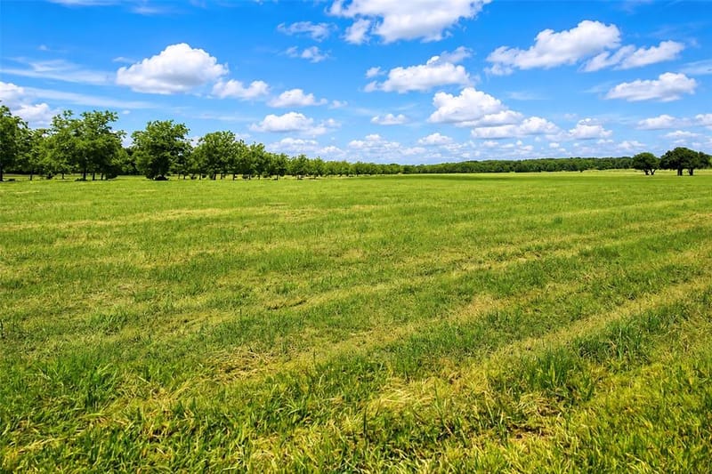 6108 Cottonwood Creek Road, Saint Jo TX 76265 - Photo 24