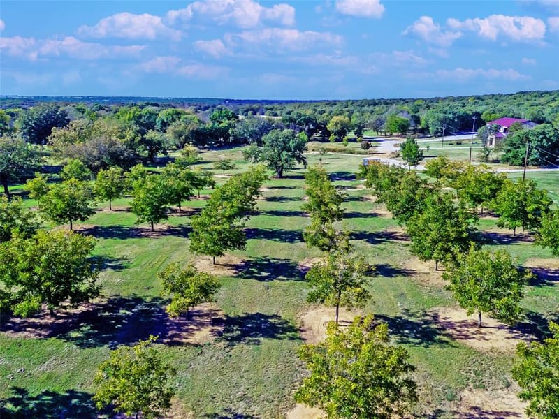 6108 Cottonwood Creek Road, Saint Jo TX 76265 - Photo 18