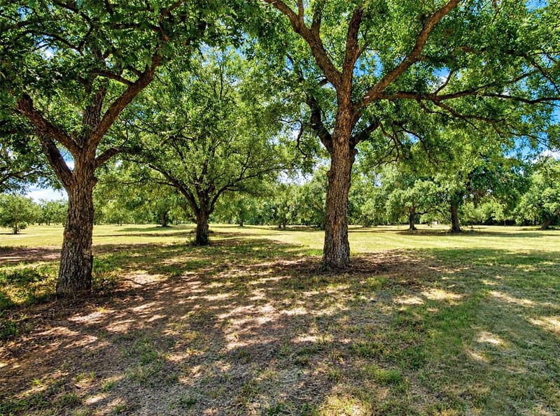 6108 Cottonwood Creek Road, Saint Jo TX 76265 - Photo 19