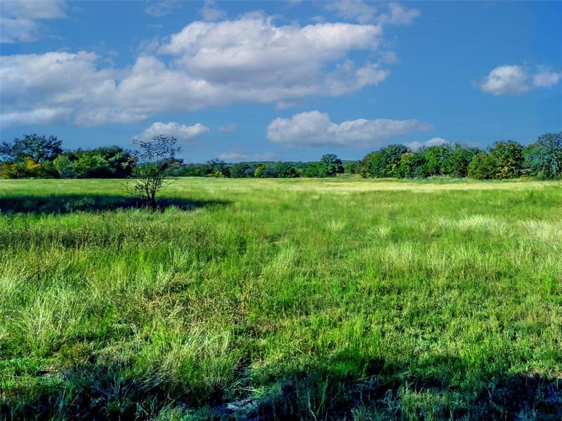 6108 Cottonwood Creek Road, Saint Jo TX 76265 - Photo 21
