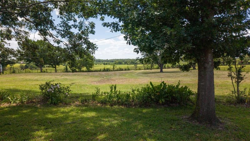 1053 Vz County Road 4206, Athens TX 75752 - Photo 33