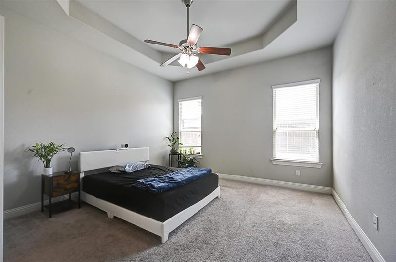 4016 Blessington Drive, Frisco TX 75036 - Photo 16